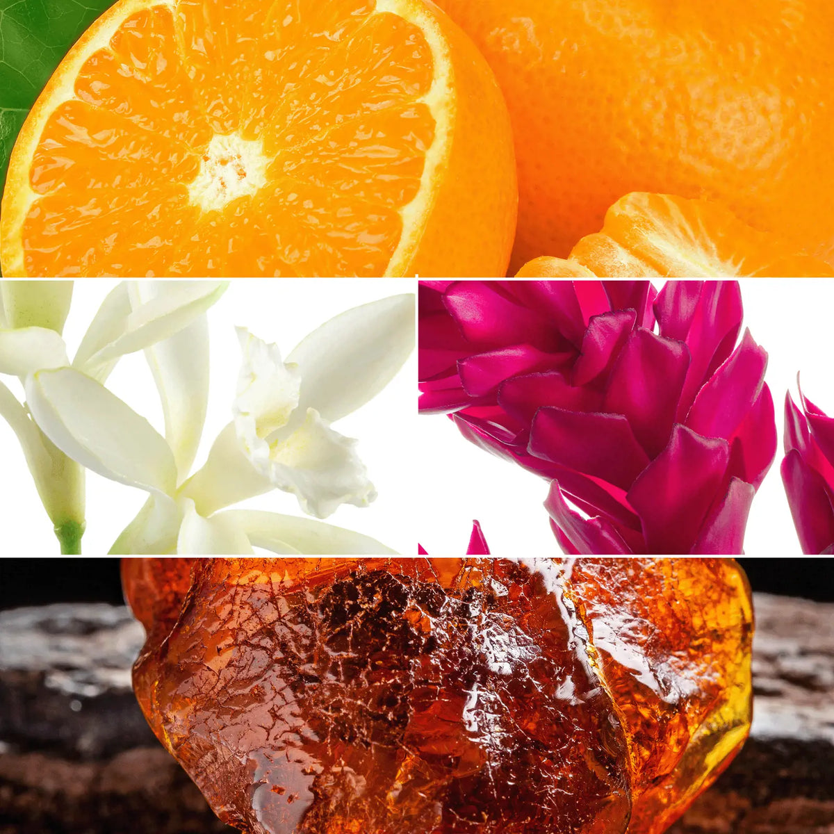 Amplified Parfum Oriflame